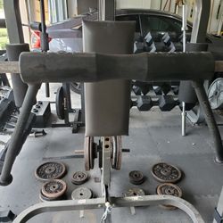 Dave Draper Top Squat 