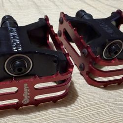 2012 Skyway Bullseye pedals 
