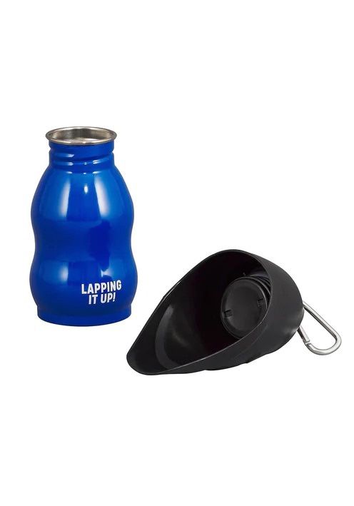 Wild Woofy Lap It Up In Pet Water Bottle Travel Bowl