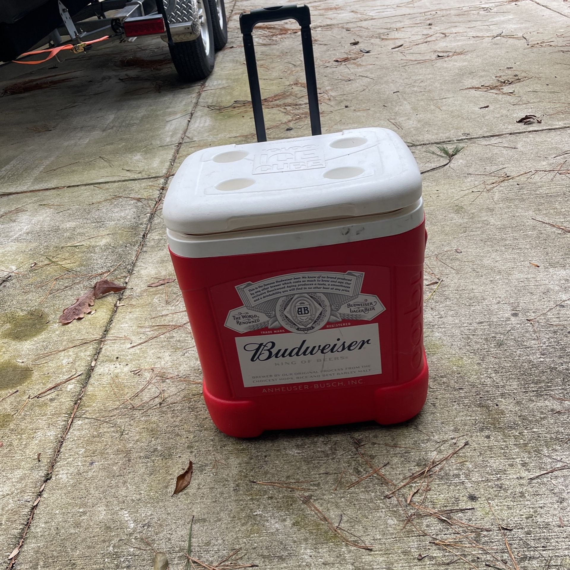 Budweiser Cooler