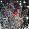 Georgeann