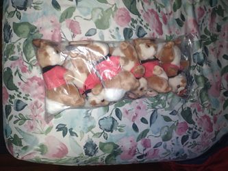 Rare Collectible Limited Edition Peter Rabbit Ty Beanie Baby