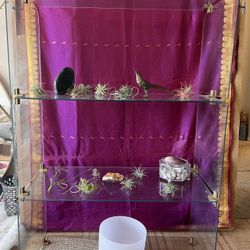 Rare MCM glass Shelving Unit 