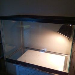 TALL 16" reptile habitat with a heat 🦎☀️💡 🪔