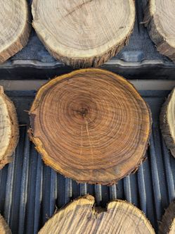 Mesquite Wood Rounds - 10"