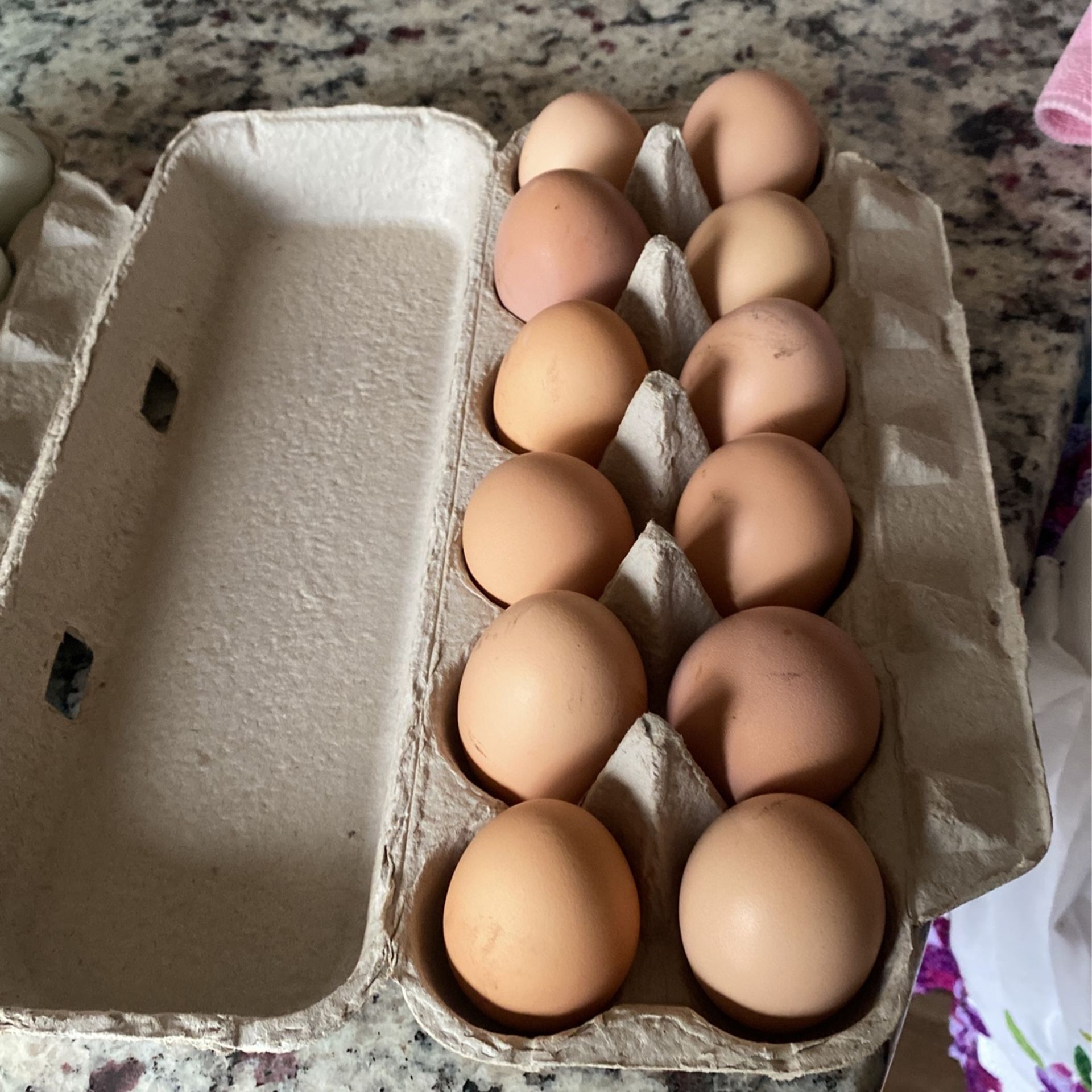 Organic Chicken Eggs