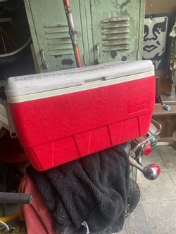 Igloo cooler ENCINO