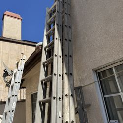 Set of 3 Sturdy Ladders – $350 for All 