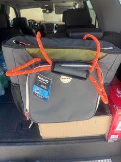 Igloo 30 can tote bag