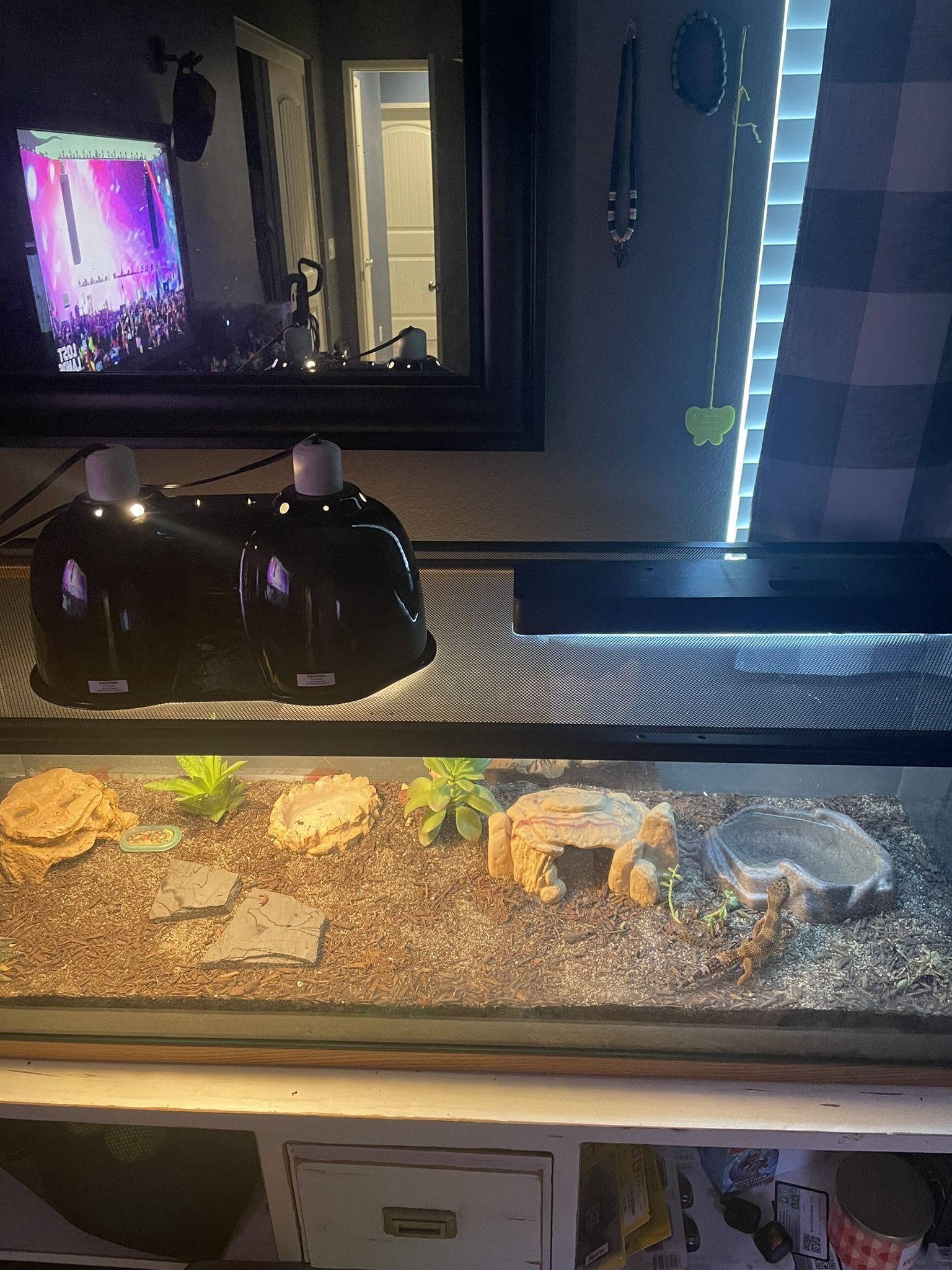 Critter Cage