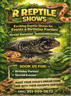 Reptile shows