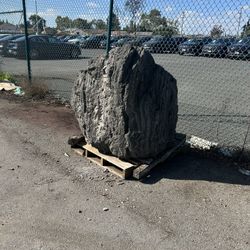 Large Decorative Rock