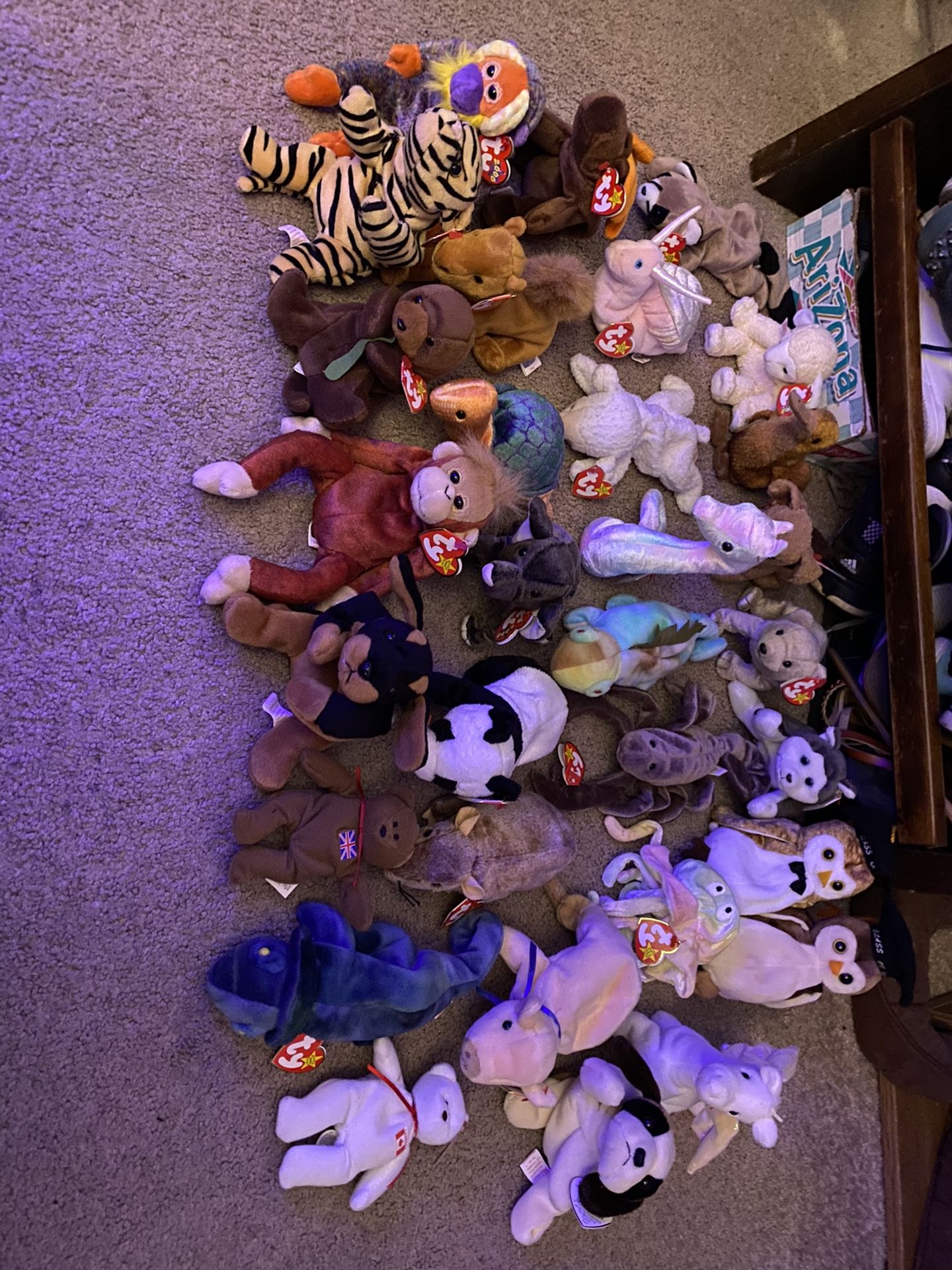 Beanie Baby Lot (part Two)