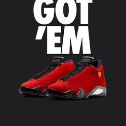 Jordan 14 