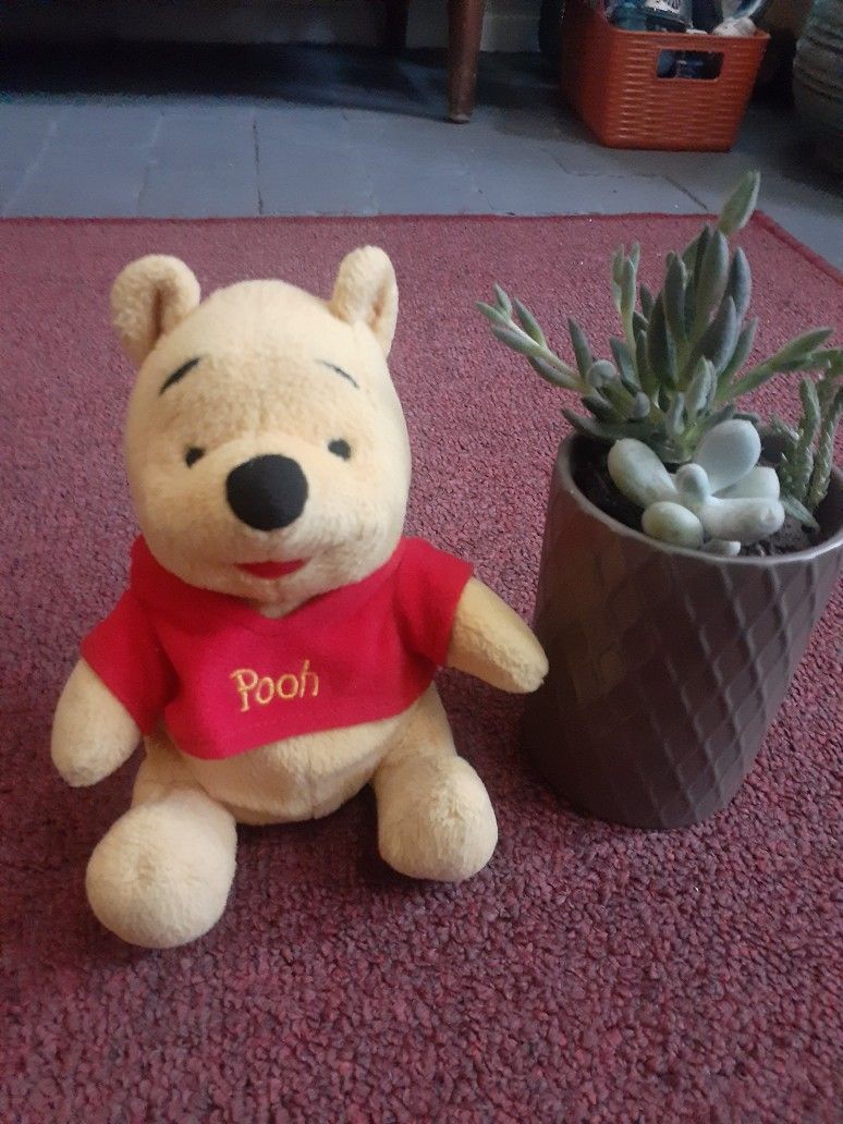 Vintage Winnie The Pooh