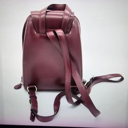 Cartier vintage leather backpack.