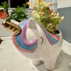 🦄  Unicorn Planter With Succulent Bundle 