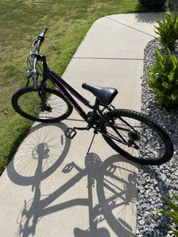 21 Speed Bike NEW