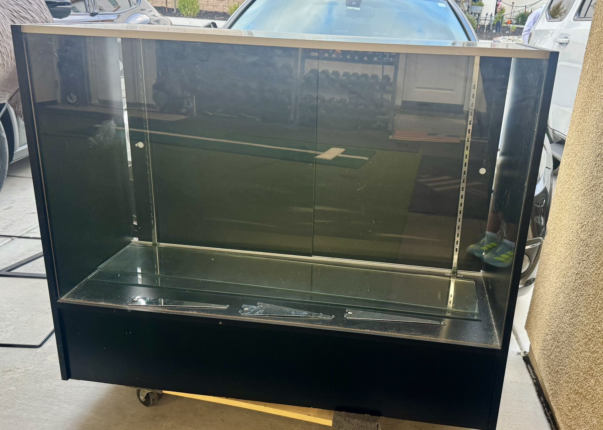 Display Case And Shelves 