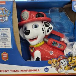 Vtech Paw Patrol Marshall Treat Time toy