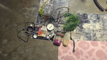 Reptile / Gecko Terrarium Accessories Bundle – Lamp, Decor & Supplies