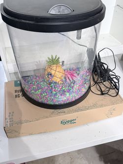 Fish Aquarium With Deco And Gravel Cleaner
