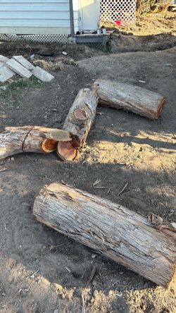 Free firewood