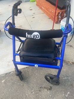 Hugo Seated Walker