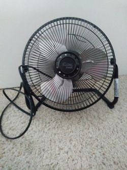 Fan