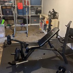 ADJUSTABLE GYM BENCH ( No Weight Included)
