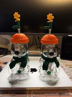 Snoopy Starbucks Glass Cups