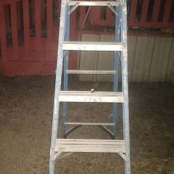 Werner Ladder 