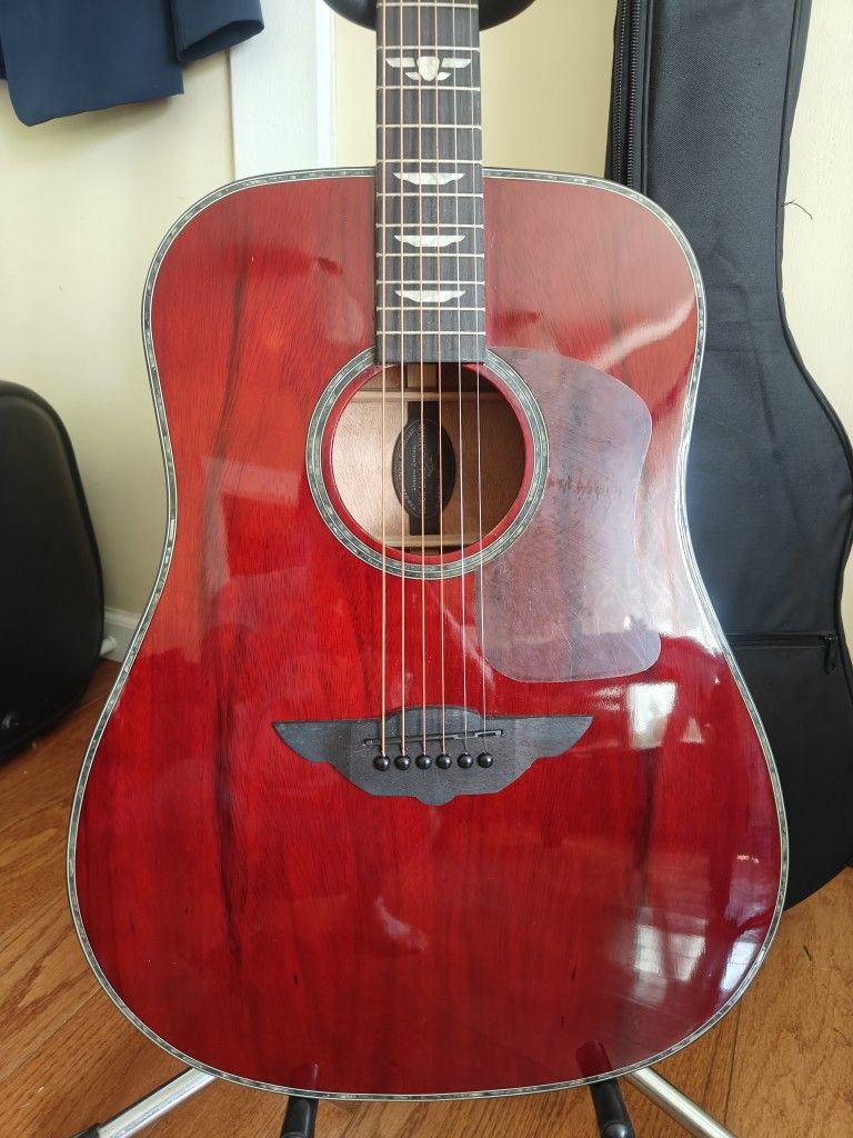 Keith Urban Black Label Platinum LE Acoustic Electric Guitar with Gigbag, Amp, and Accessories