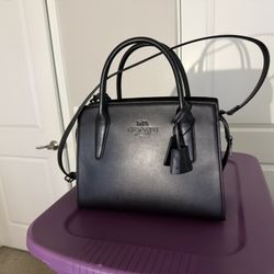   Coach Large Andrea Carryall
