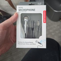 Mini Microphone 