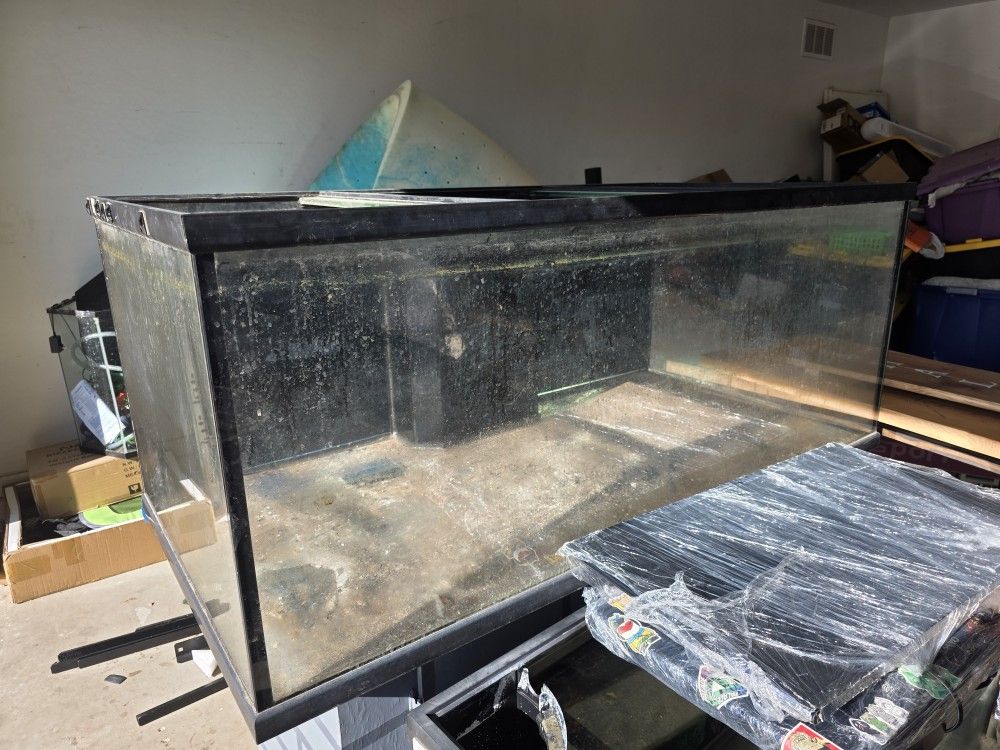 200 Gallon Fish Tank