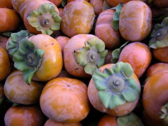 Sweet Fuyu Persimmons