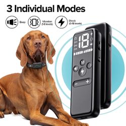Vsezund Dog Training Collar（brand new）