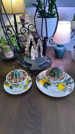Cactus Bowls