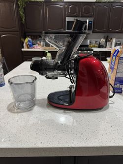 Masticating Juicer
