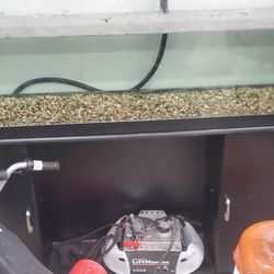 75 Gallon Fish Tank