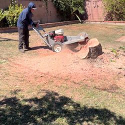 Power Stump Grindingdg 