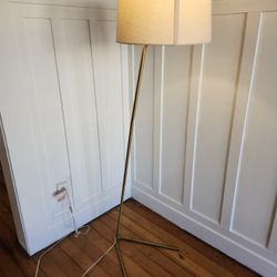 Brass Floor Lamp 