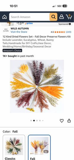 Dried Flowers Set – Fall Decor, Lavender, Eucalyptus, Wheat & Bunny Tails – Brand New