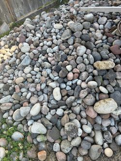 Large river rock free