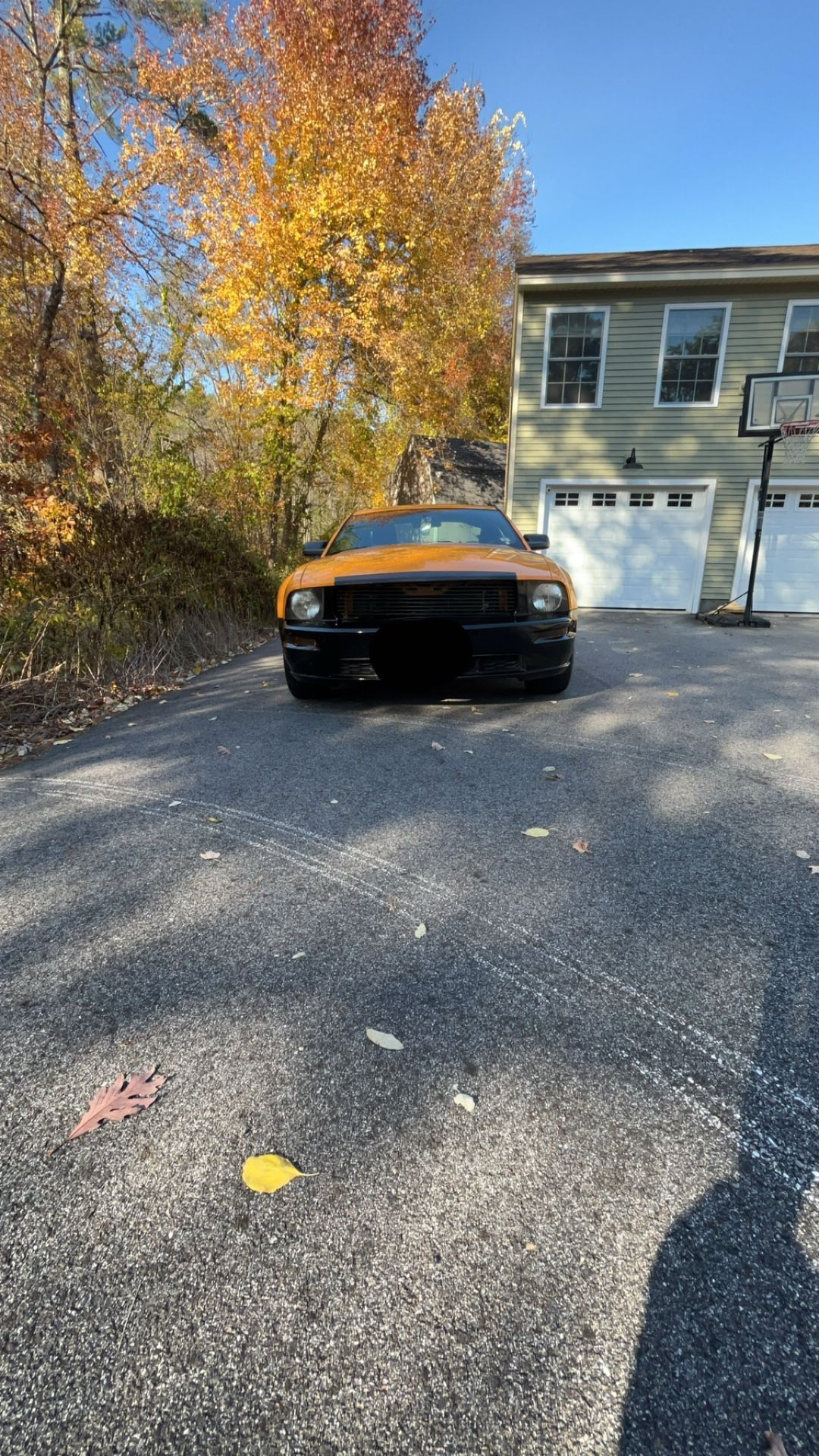 2008 Ford Mustang