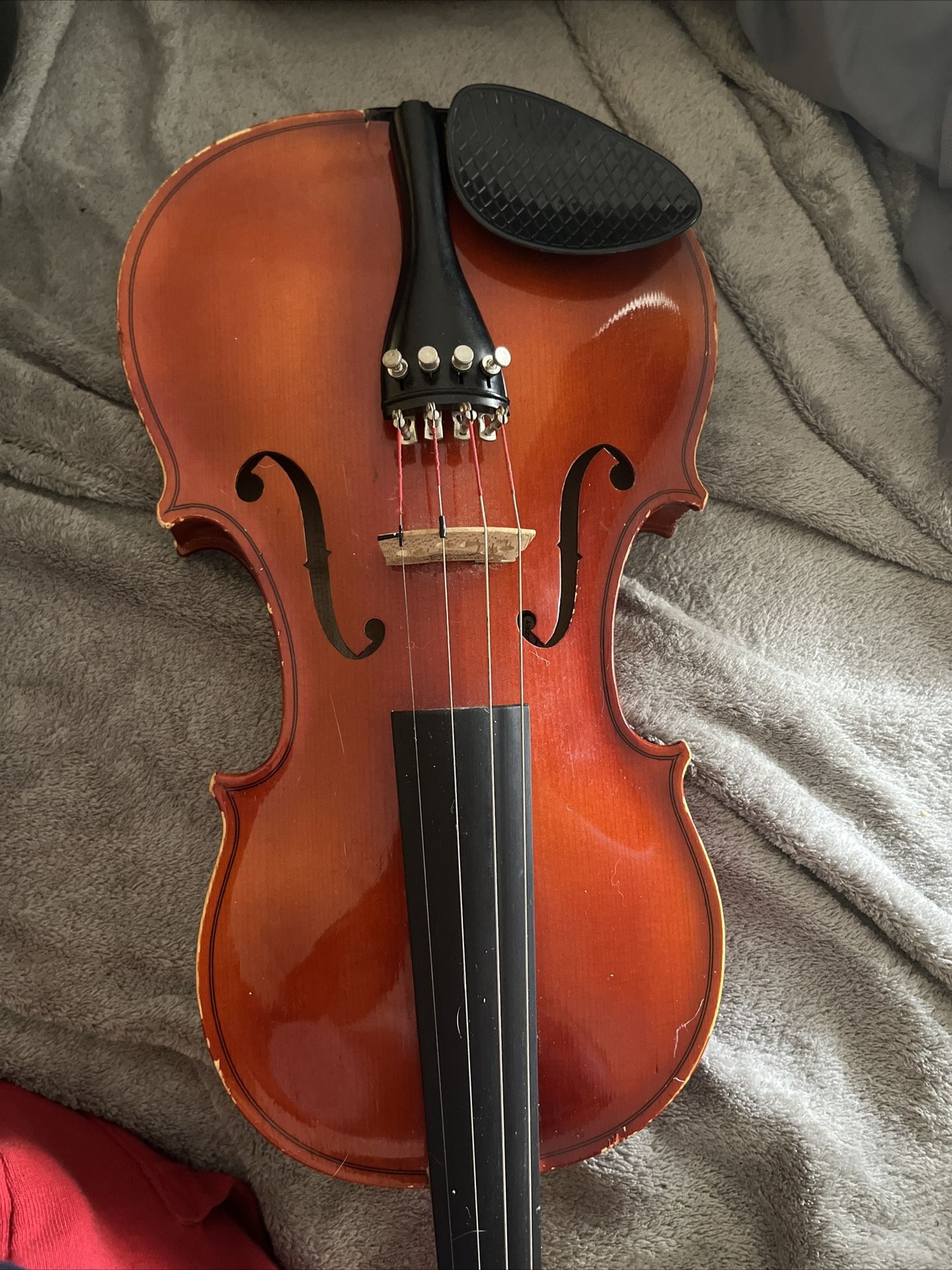 Beginners Maple Brown 4/4 *full* Violin