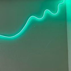 40ft Flexible LED LIGHTS 