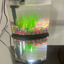 Fish Tank Starter 