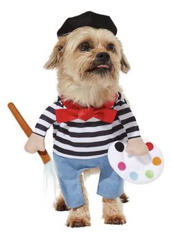 Funny Dog Costume